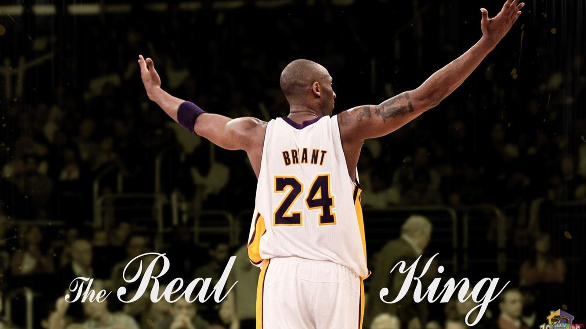 开云综合服务-西甲精彩夜，球员表现出色，战术变化显著，西甲精彩进球